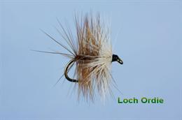 Loch Ordie Hackled Wet